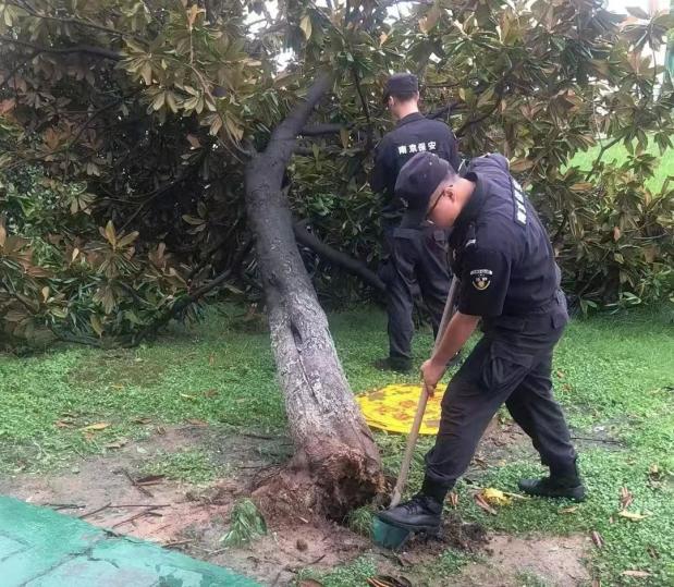 C:/Users/BA/Desktop/風雨過后南京保安迅速行動，恢復(fù)安“寧”面貌/10.jpg10