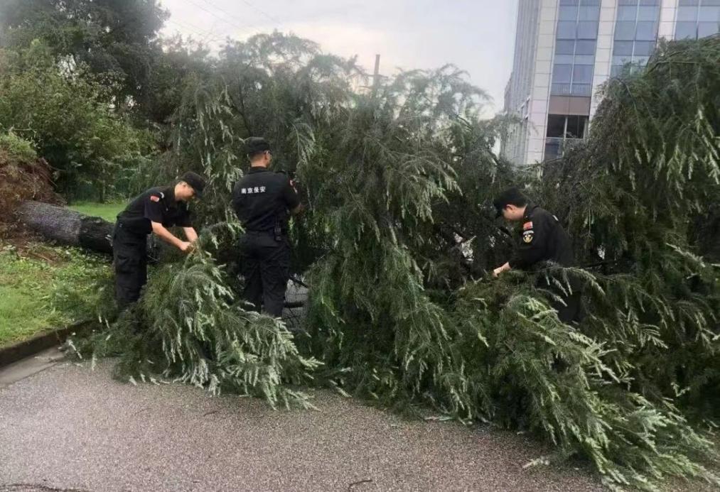 C:/Users/BA/Desktop/風雨過后南京保安迅速行動，恢復(fù)安“寧”面貌/1.jpg1